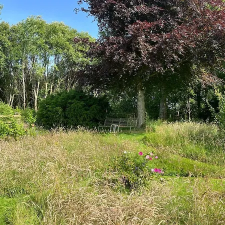 Handy For District, Detached