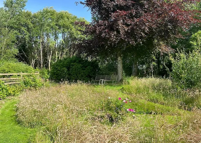 Handy For District, Detached